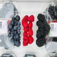 Fresh Mixed Berry